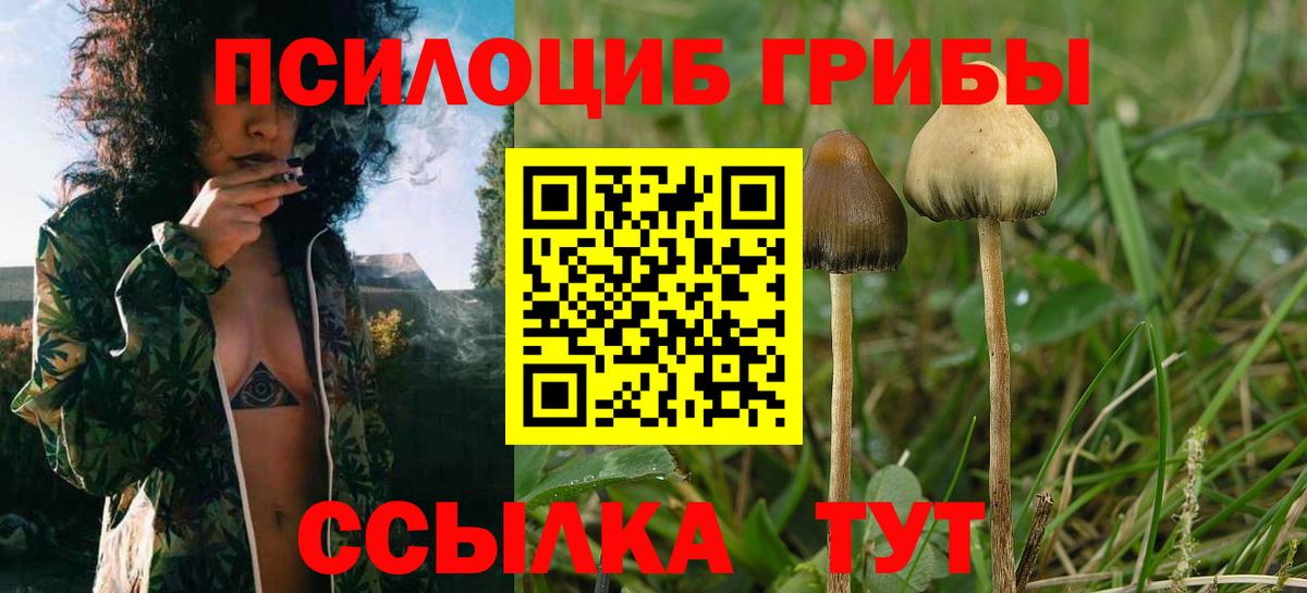 ГАШИШ  КЕТАМИН  Конопля  Альфа ПВП СК кристаллы  Меф   ГАШИШ  Полевской  Вход с VPN 
