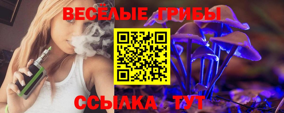 Псилоцибиновые грибы мухоморы Полевской